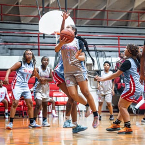 Analeticia Velasquez mugshot