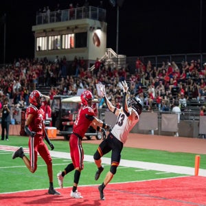 Nick Dangleis mugshot