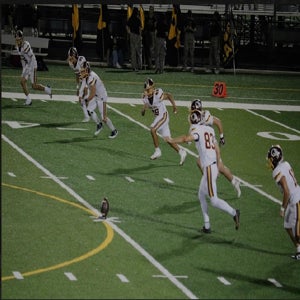 JOSELUIS FLORES mugshot