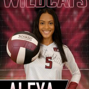 Aleya Westbrook mugshot