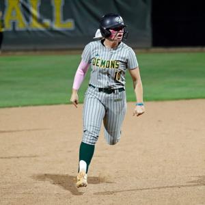 TAYLOR BORUP