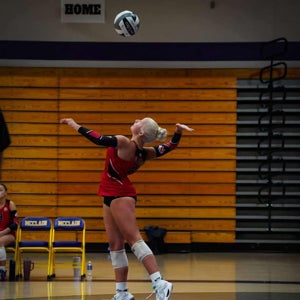 Paisley Stahlhut