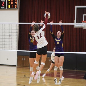 Hadynn Johnson mugshot