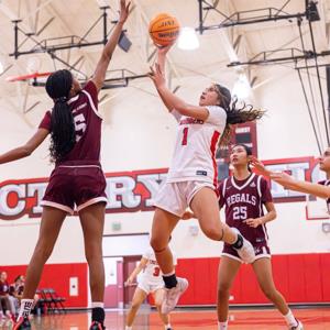 Sandrina Panaligan mugshot