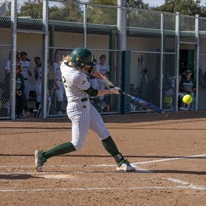 Laine Macosky mugshot