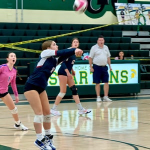 Haley Diener