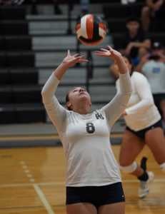 Anabella Almeida mugshot