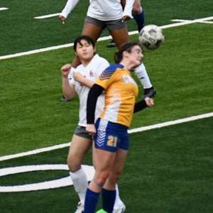 Hayden Curry mugshot