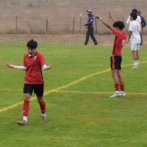 Dominic Gomez mugshot