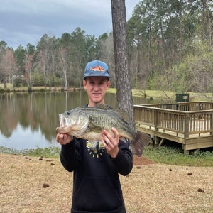 tate shuford mugshot