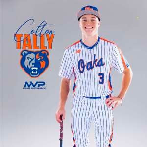 Colton Tally mugshot