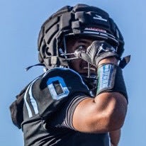 Anthony Fale mugshot