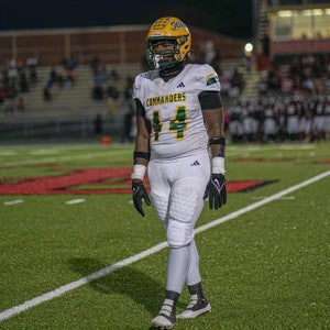 Marion Laguerre mugshot