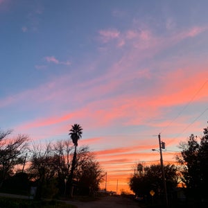 Jesse Sanchez mugshot