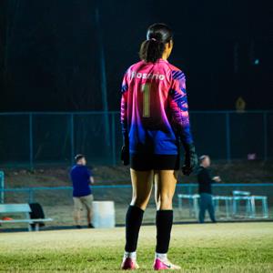 Aris Rosario mugshot