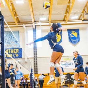 Brooke Taylor mugshot