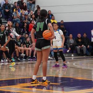 Demetria  Dosela  mugshot