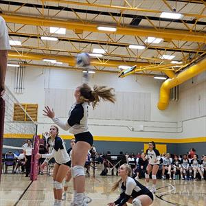 Alexis Ferbeyre mugshot