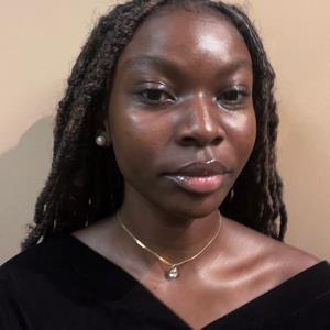 Adwoa Birago Nsiah-ababio Ohemeng