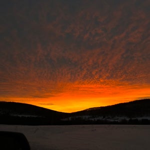 Kinsey Wiles mugshot