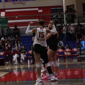 Jessi Meaden mugshot