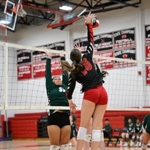 Julia Olesnevich mugshot