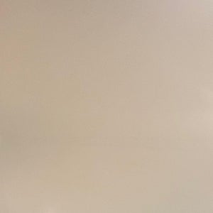 Dom Wolthuis mugshot