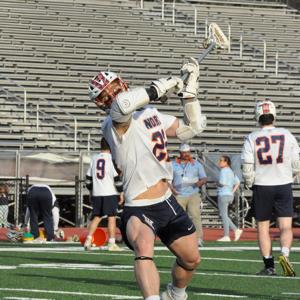 Will Morris