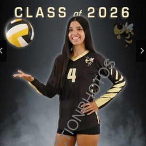 Vanessa Hibbits mugshot