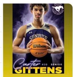 Carter Gittens mugshot
