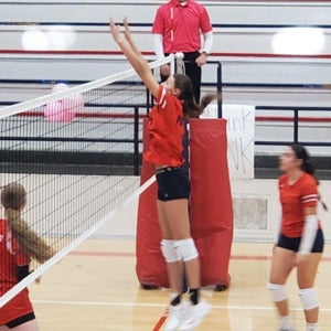 Taylee Silcock mugshot