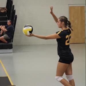 Delana Norris mugshot