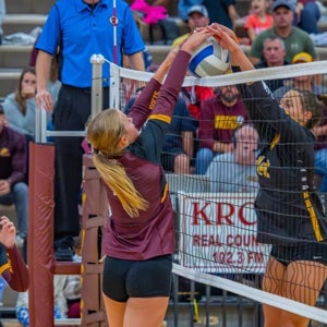 Sella Fleming mugshot