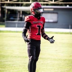 D. Gibbs-fleming