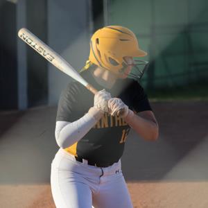 Melissa Higuera mugshot