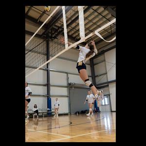 Madalyn Wartick mugshot