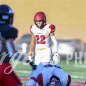 Bennett Yellow bird iii