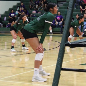 Janiya Heard mugshot