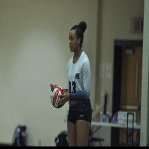 Ani Johnson
