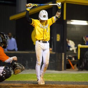 Ashton Herring mugshot