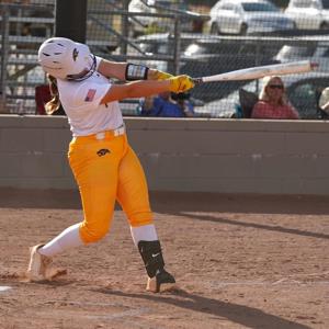 Anleigh Wood mugshot