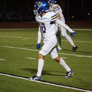 Dominic Sawyer mugshot