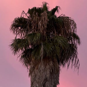 Byron Miranda mugshot