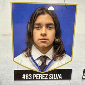 Perez Silva
