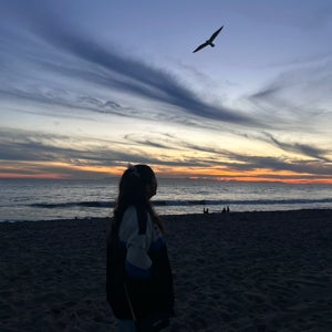 Nicole Andrade mugshot