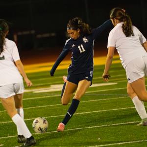 Layla Adaimy mugshot