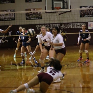 Olivia Bermea mugshot