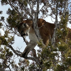 Ashton Kerby mugshot