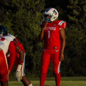 Kamerin Holmes mugshot