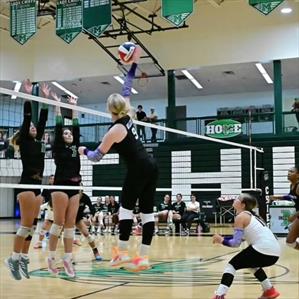 Avery Miller mugshot